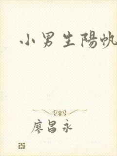 小男生阳帆