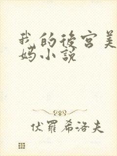 我的后宫美母妈妈小说