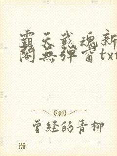 霸天武魂新笔趣阁无弹窗txt