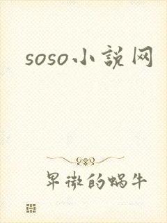 soso小说网