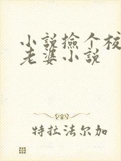 小说捡个校花做老婆小说