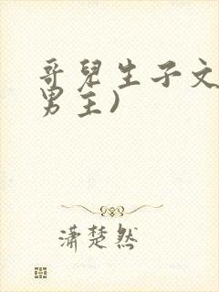 哥儿生子文(双男主)