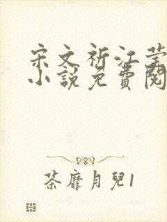 宋文祈江莹溪的小说免费阅读