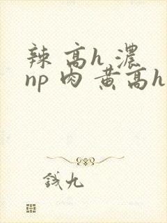辣 高h 浓 np 肉 黄高h封面