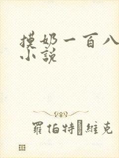 摸奶一百八十式小说