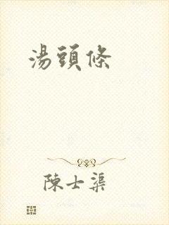 汤头条