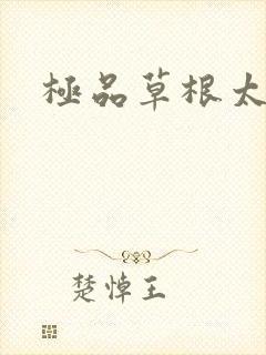 极品草根太子