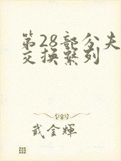 第28部分夫妇交换系列封面