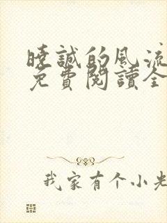 晓诚的风流人生免费阅读全文
