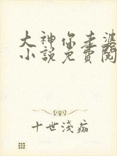 大神你老婆掉了小说免费阅读封面