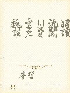 魏云川沈昭禾小说免费阅读笔趣阁封面