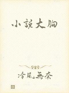 小说大胸