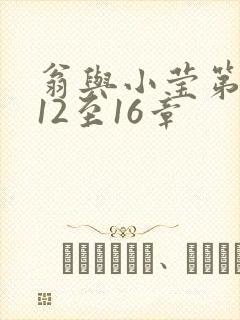 翁与小莹第十部12至16章封面