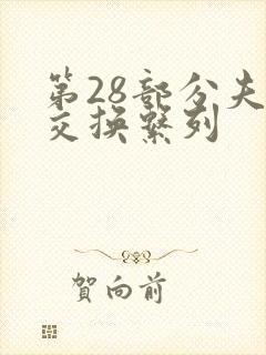 第28部分夫妇交换系列
