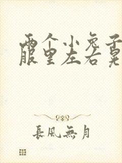 两个小兔子在衣服里左右晃封面