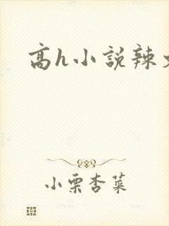 高h小说辣文