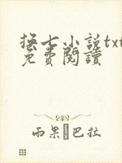 换七小说txt免费阅读