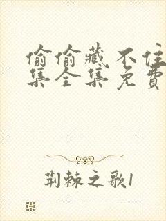 偷偷藏不住60集全集免费播放