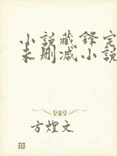 小说藏锋完整版未删减小说