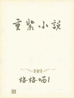 重紫小说