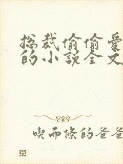 总裁偷偷爱上我的小说全文阅读