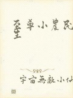 至尊小农民王木生
