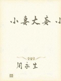 小妻大妾 小说