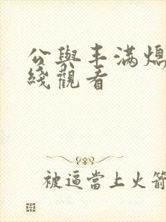 公与丰满熄4在线观看封面