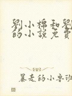 刘小棉和刘易文的小说免费阅读
