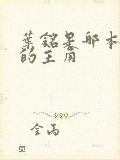 叶铭是哪本小说的主角