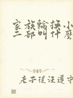 家族轮换小说第二部叫什么名字