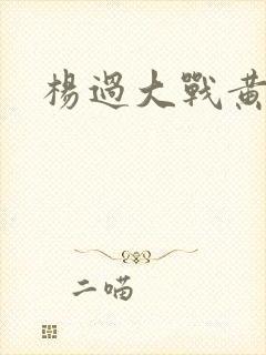 杨过大战黄蓉