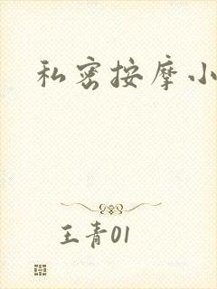 私密按摩小说
