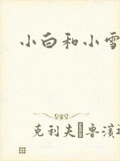 小白和小雪