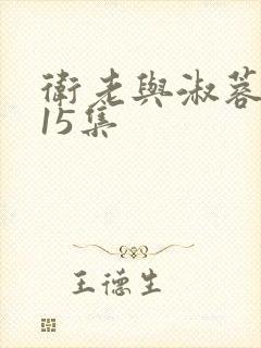 卫老与淑蓉1～15集
