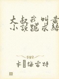 大叔我叫黄小婷小说跪求结局