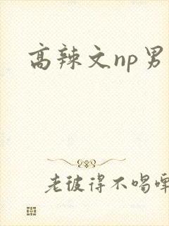 高辣文np男男封面