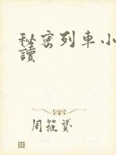 秘密列车小说阅读封面