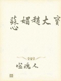苏媚赵大宝海之心封面