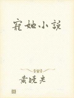 宠她小说