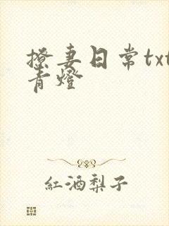 撩妻日常txt青灯