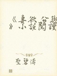 《妻欲 公与媳》小说阅读封面