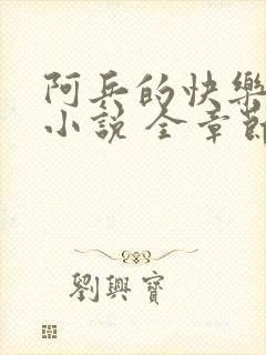 阿兵的快乐生活小说 全章节阅读免费