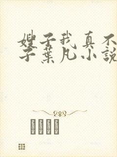 嫂子我真不是傻子叶凡小说全文免费阅读