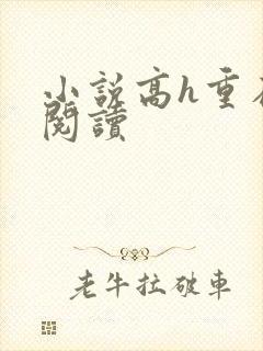 小说高h重在线阅读