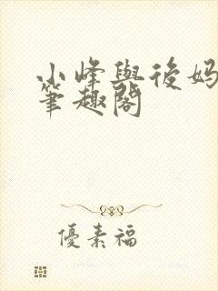 小峰与后妈宁静笔趣阁封面