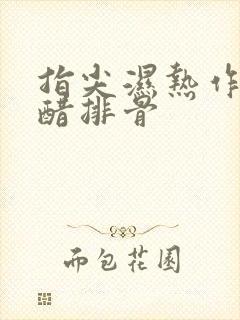 指尖湿热作者糖醋排骨