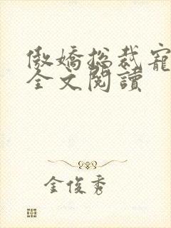 傲娇总裁宠上瘾全文阅读封面