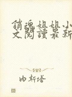 销魂姐姐小说全文阅读最新章节列表