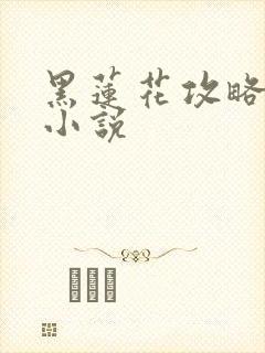 黑莲花攻略手册小说封面